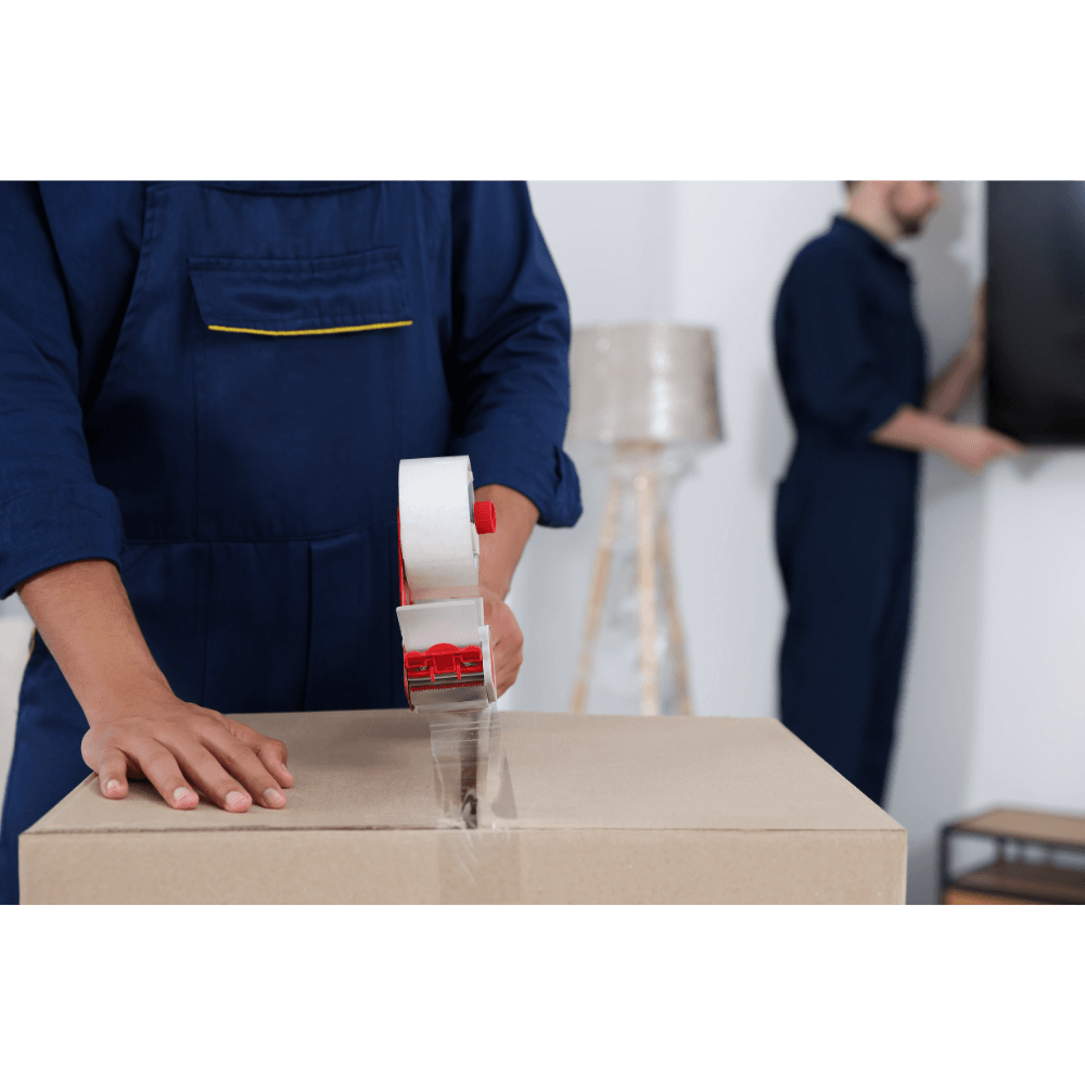 Packing & Protection photo